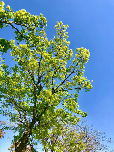 更新，太湖边