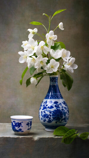 桌面插花 梨花
梨花淡白柳深青，柳絮飞时花满城。－－苏轼