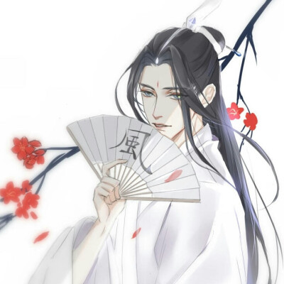 天官赐福 古风 风师大人 师青玄