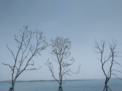 东湖绿道。