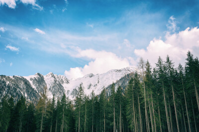 风景 素材