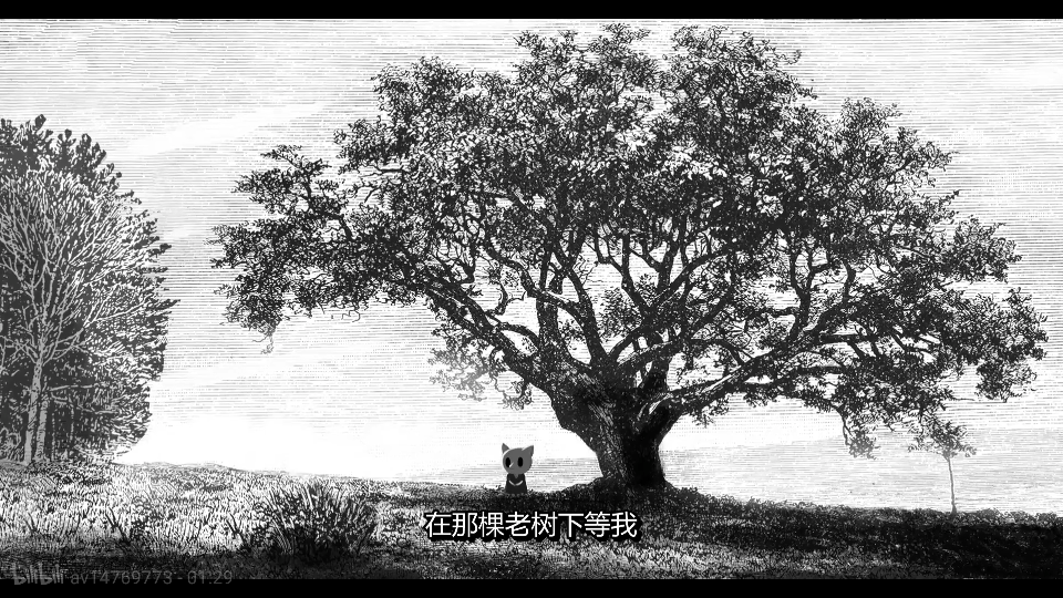 《布景》（西班牙2016）