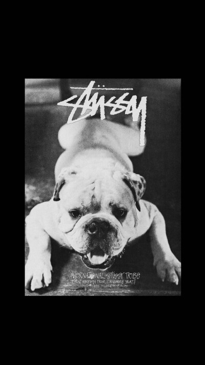 Pidan｜Stussy