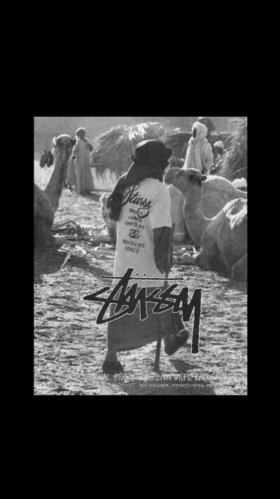 Pidan｜Stussy