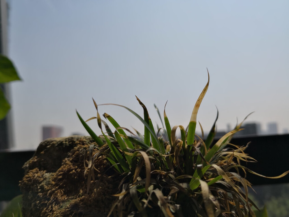 龙泉青瓷 冰裂纹镇纸