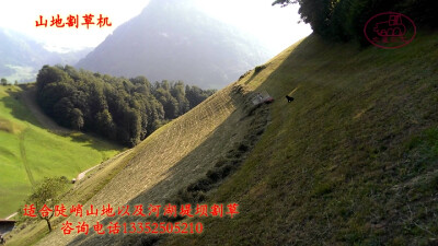 丘陵山地水草丰美，是发展畜牧饲喂的优质饲料，但苦于坡度太大，收割时安全无法保证，一直采用人工收割，效率低、成本高。这款进口的山地割草机适合陡峭山地割草作业，以及国内河湖堤坝杂草清理。