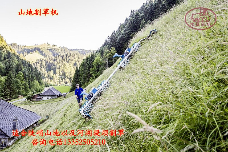 丘陵山地水草丰美，是发展畜牧饲喂的优质饲料，但苦于坡度太大，收割时安全无法保证，一直采用人工收割，效率低、成本高。这款进口的山地割草机适合陡峭山地割草作业，以及国内河湖堤坝杂草清理。