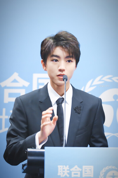 王俊凯×20180418联合国环境署亲善大使任命仪式×cr：logo