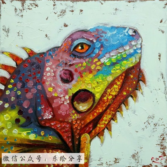 动物