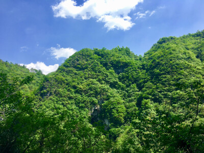 好花好水好风光