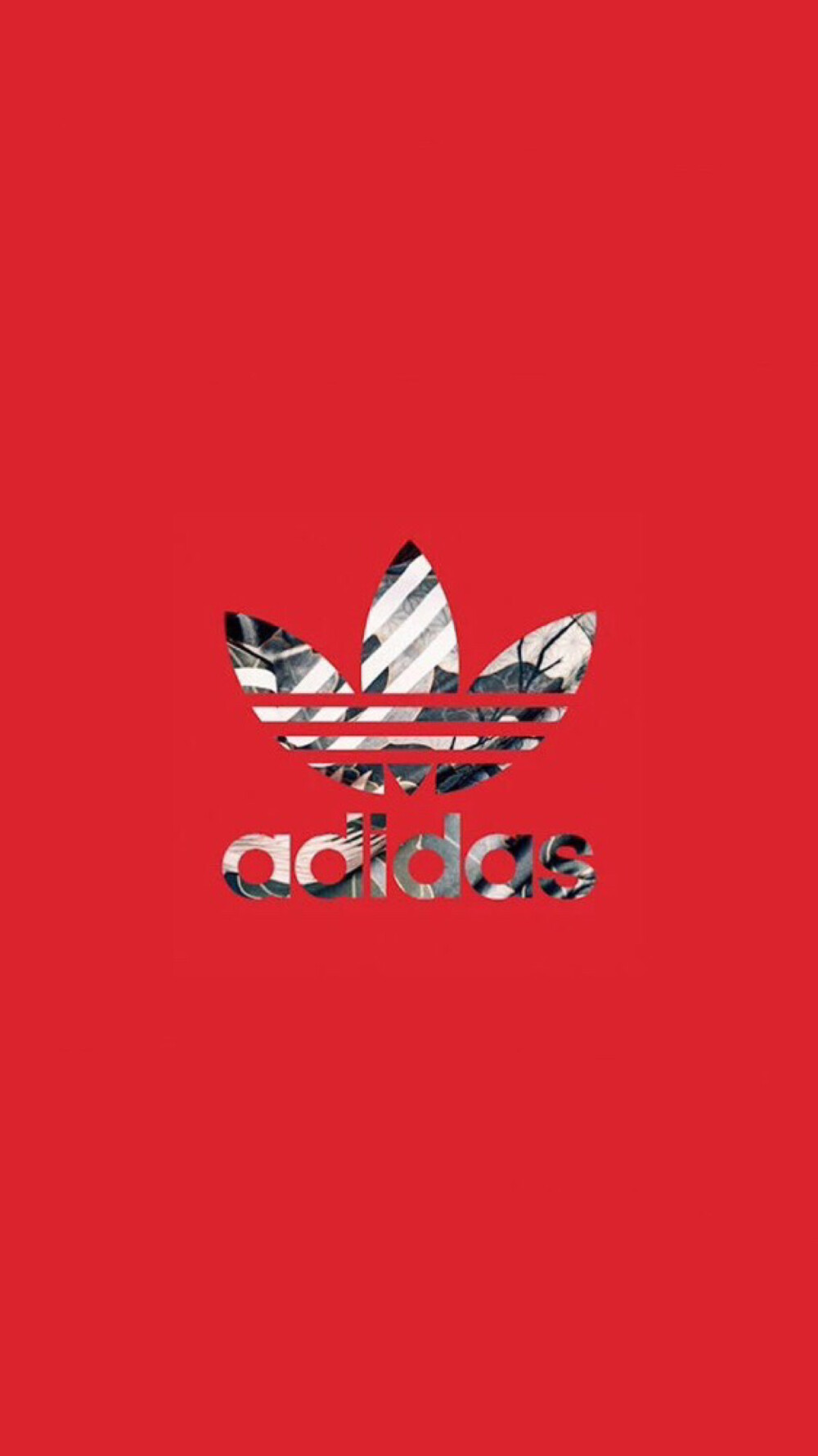 Pidan｜Adidas