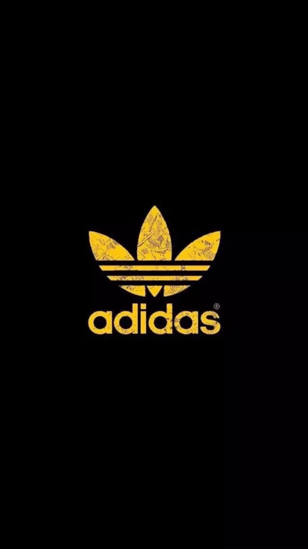 Pidan｜Adidas