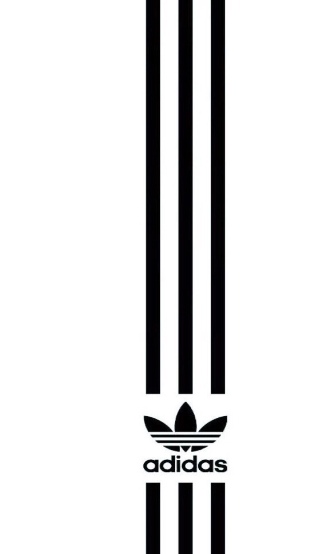 Pidan｜Adidas