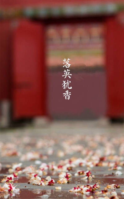 【中国节气：谷雨】青萍始生，浮鱼戏水。驟雨成瀑，落英犹香，夏燕築巢。牡丹吐蕊，樱桃红熟。一壶新茗，早睡早起。《通纬·孝经援神契》：清明后十五日，斗指辰，为谷雨，三月中，言雨生百谷清净明洁也。