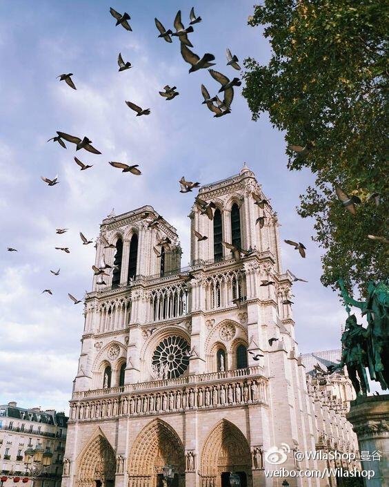 cathédrale Notre-Dame de Paris巴黎圣母院
喜欢它哥特式的建筑线条，和背后引人遐想的传说。这也是我们本季PARISIAN NEOCLASSIC系列的灵感来源。 ​​​​