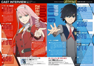 02 016 广darling in the franxx