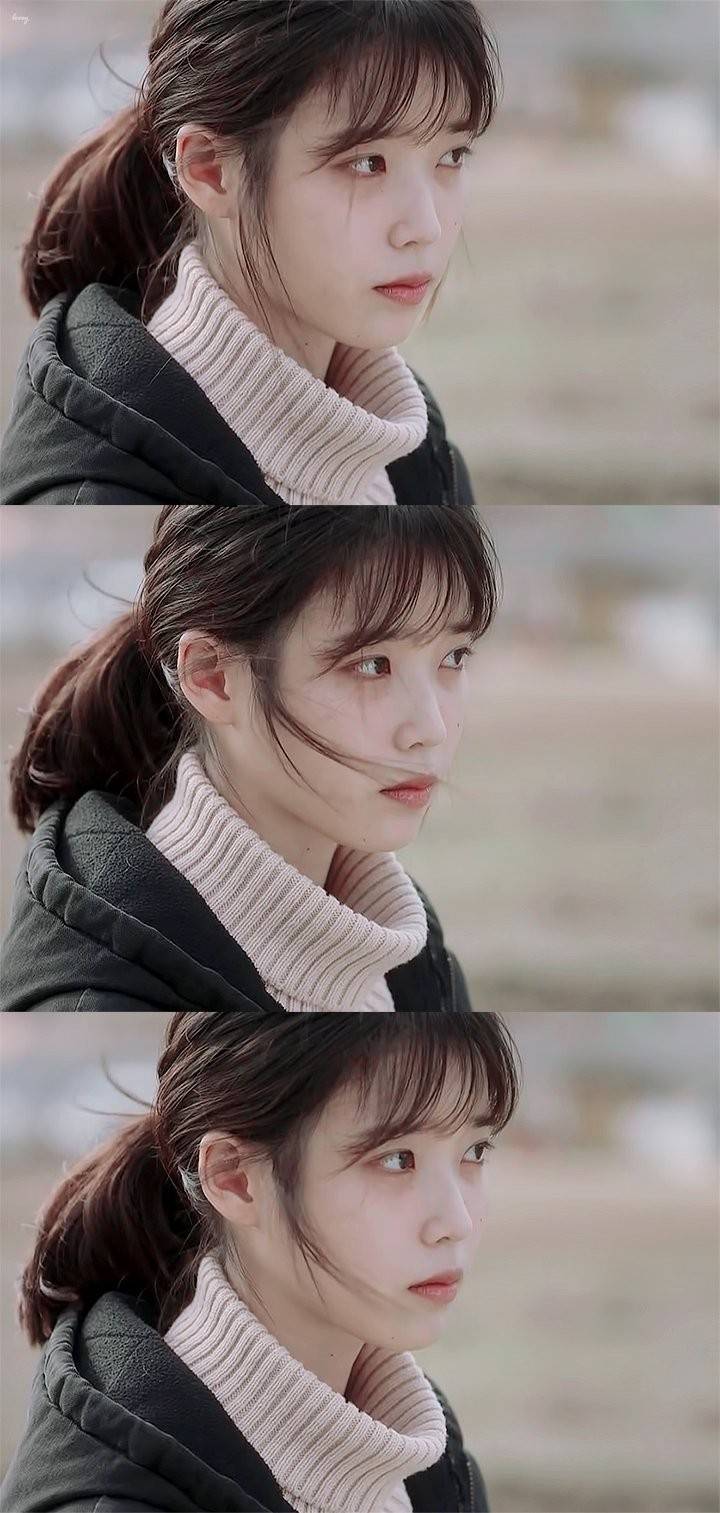 iu 我的大叔