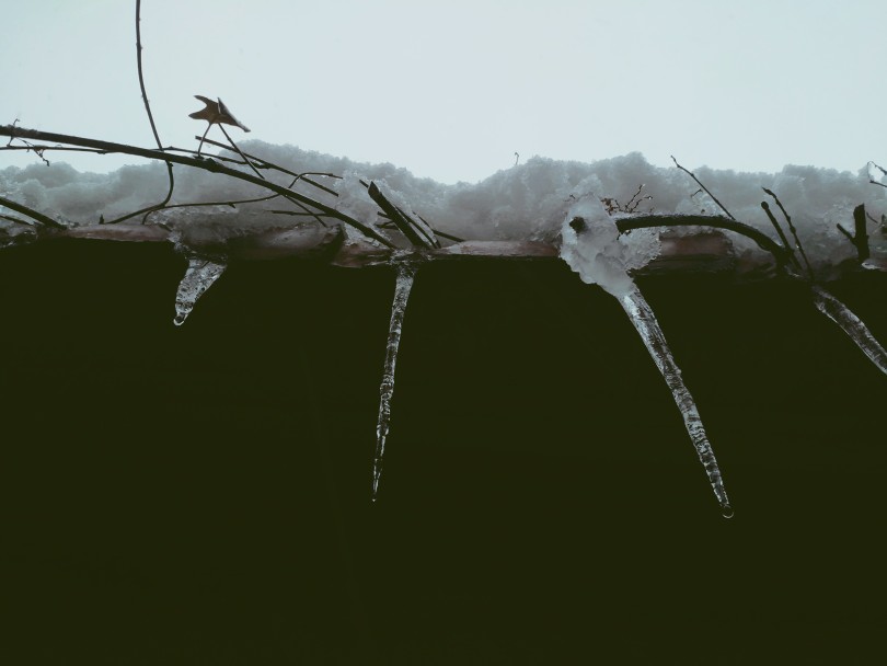 苏州山塘街的雪