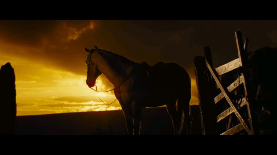 War Horse