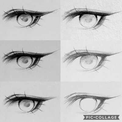学习画画+眼睛