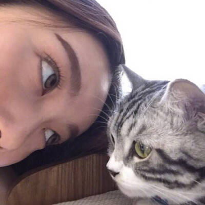 猫 女头