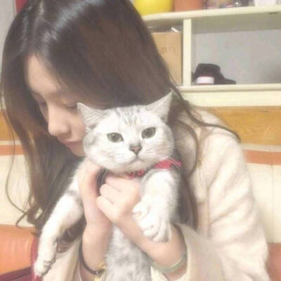 猫 女头