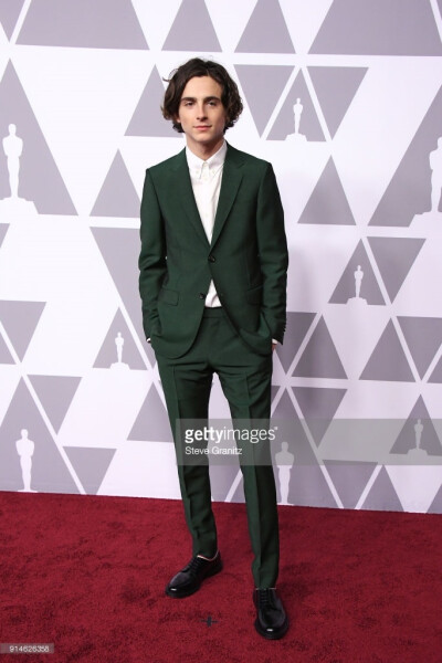 提莫西·查拉梅Timothée Chalamet（甜茶）