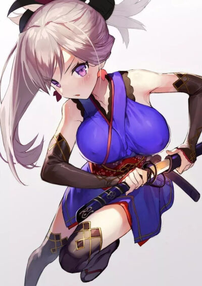 fate宫本武藏