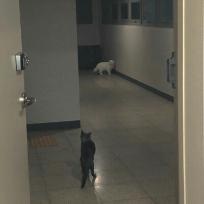 啾咪@shellymiracle