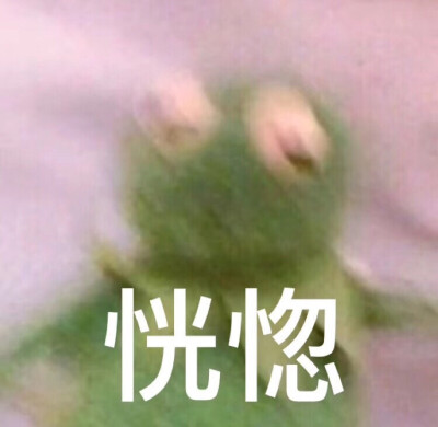 kermit表情包