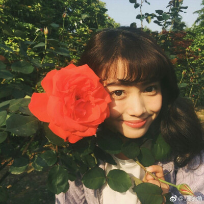 鹿的角，小可爱，爱格模特