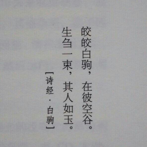 文字 句子 干净.♡