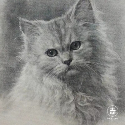 喜欢的风格，干净利落