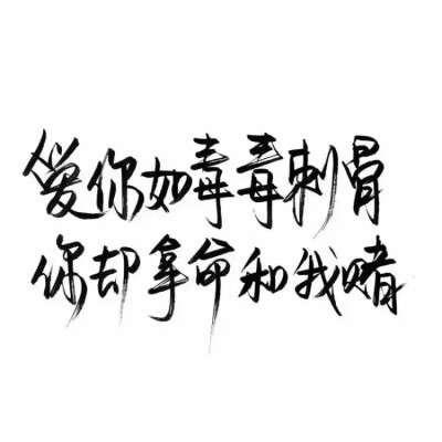  文字#扎心#手写句#心酸文字#励志句#小清新句#恋爱句#折骨成诗（持续更新哦）