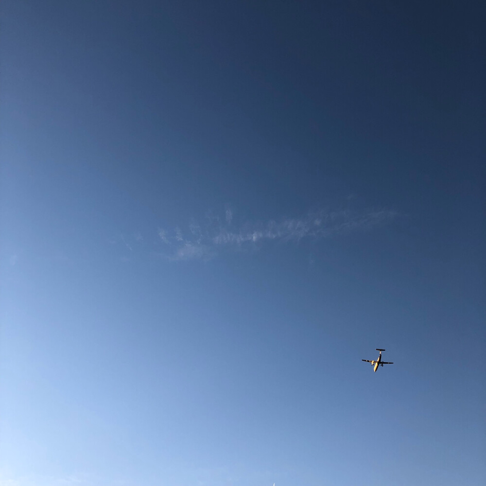 低空