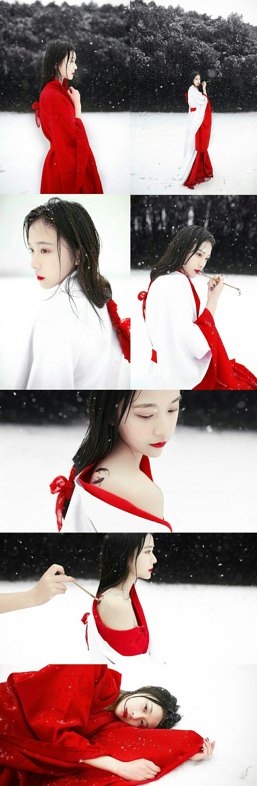 蝴蝶初翻帘绣，万玉女、齐回舞袖
—————————————
摄影@赵二彤