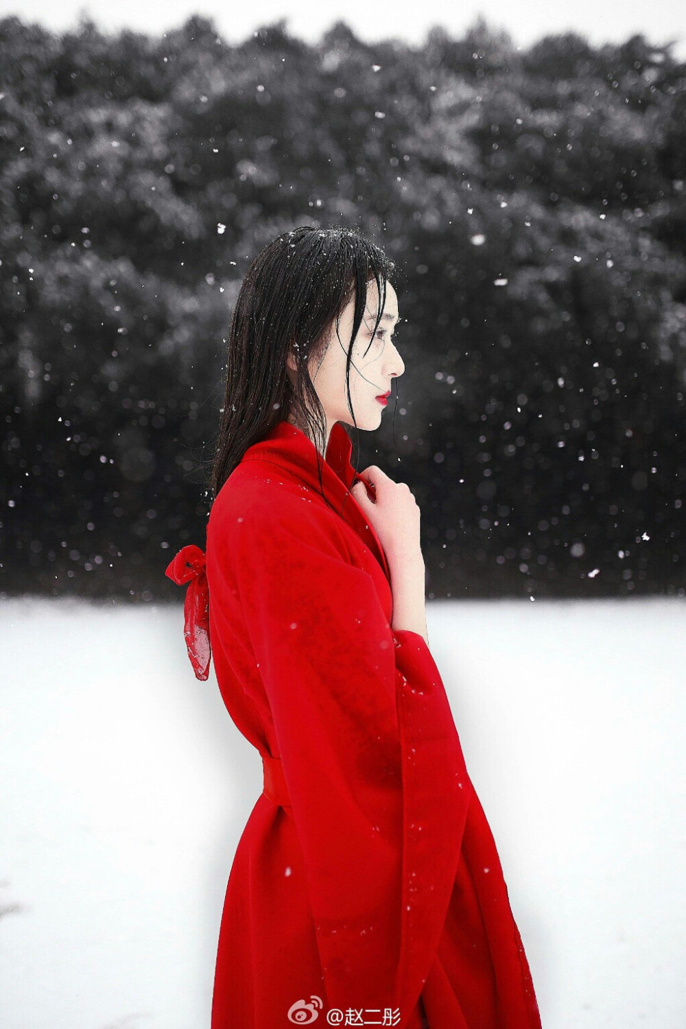 蝴蝶初翻帘绣，万玉女、齐回舞袖
—————————————
摄影@赵二彤