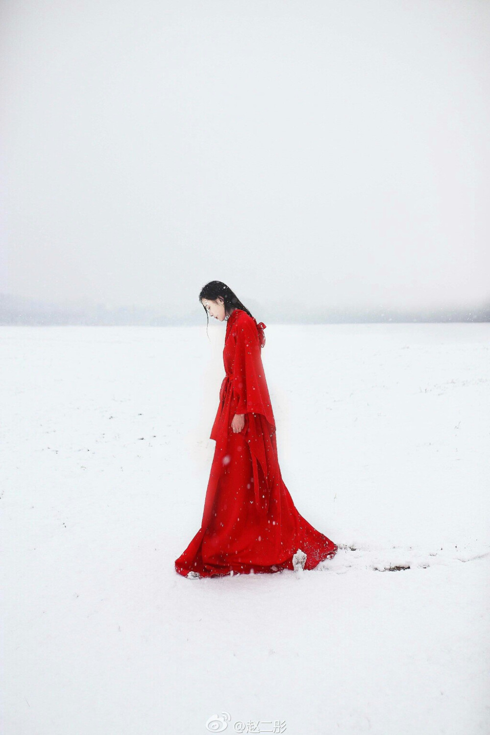 蝴蝶初翻帘绣，万玉女、齐回舞袖
—————————————
摄影@赵二彤