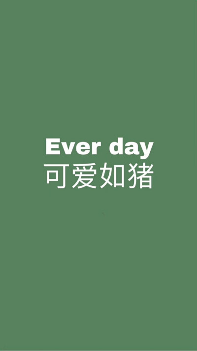 今日份的壁纸