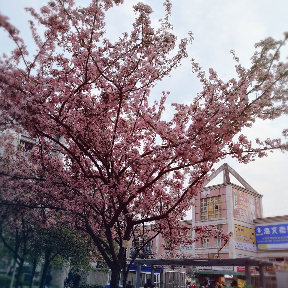 好景和糟糕恋爱