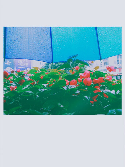 下雨天