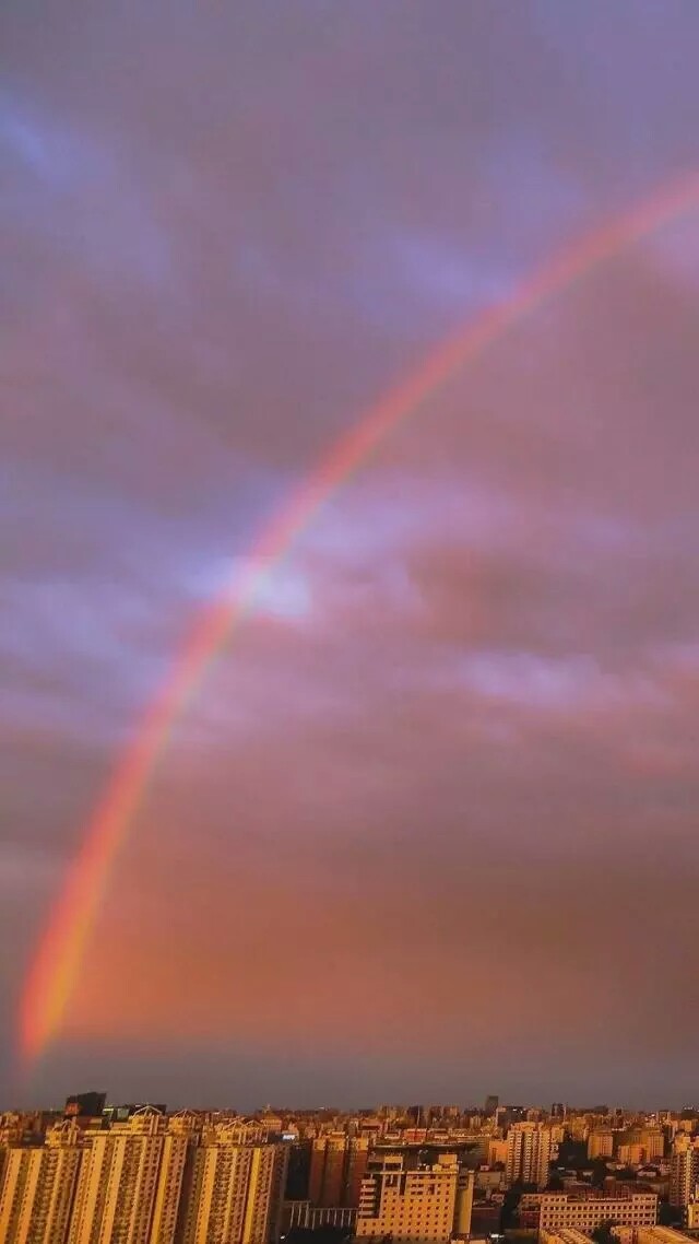 Rainbow 