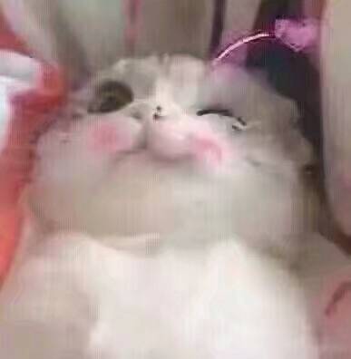 @国民撩汉大师兄