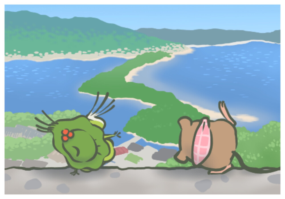 尐尐呱寄回的明信片