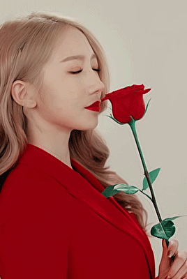 高清图片,堆糖,美图壁纸兴趣社区