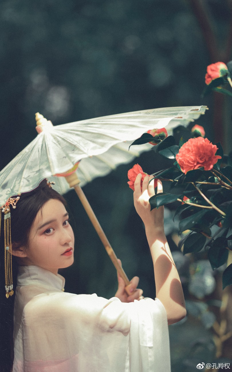 从她的眉眼间寄来一场落雨