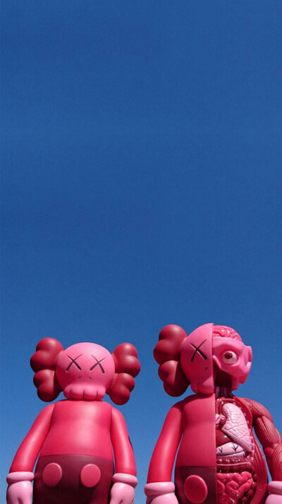 Pidan｜KAWS