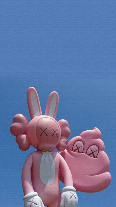 Pidan｜KAWS