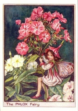 花仙子