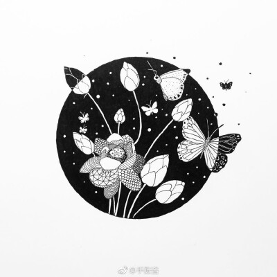 黑白插画